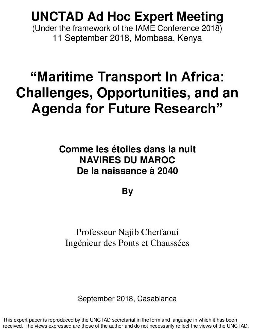 Un comité Ad Hoc des experts des Nations Unies planche sur les Navires du Maroc, de la Naissance à 2040 du Professeur Najib CHERFAOUI